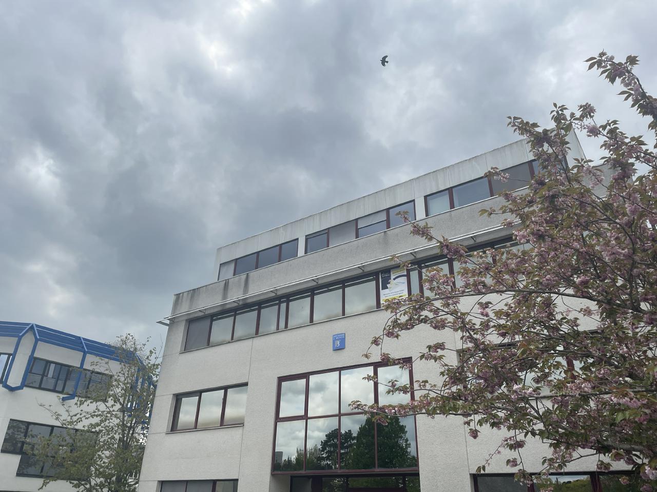 Bureau Rennes 40m² Location bureau Rennes Ille-et-Vilaine OLBUR2426954 1